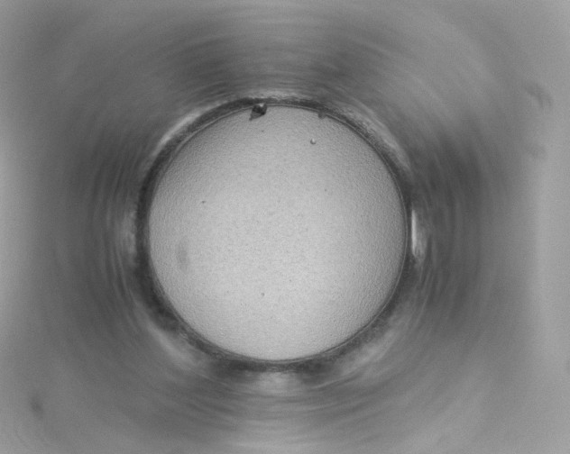 X0000115510204200911271438