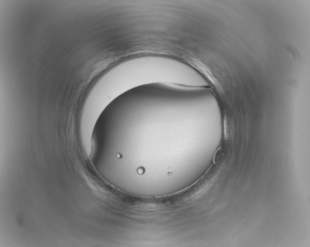 X0000115510205200911271438