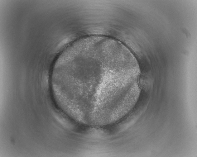 X0000115510207200911271438