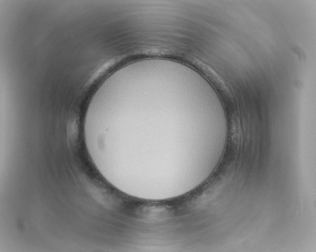 X0000115510208200911271438