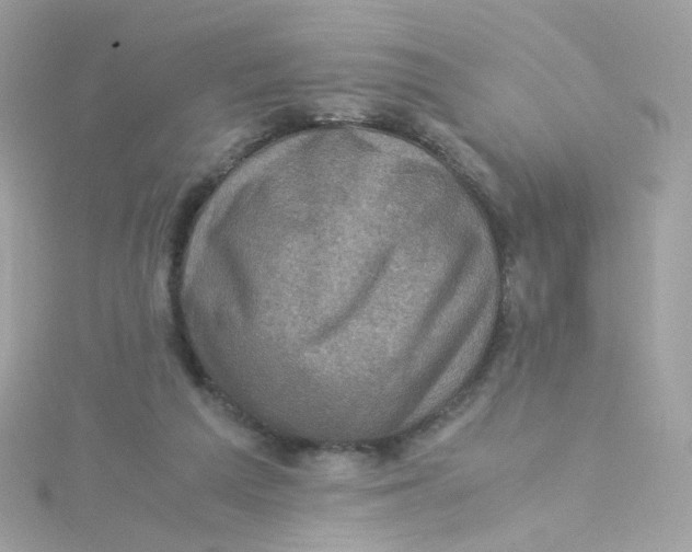 X0000115510209200911271438