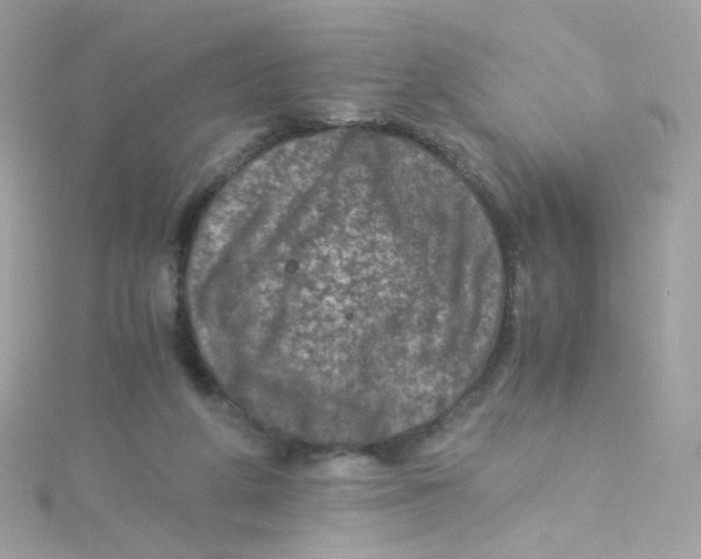 X0000115510210200911271438