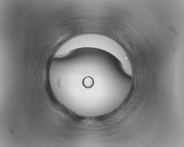 X0000115510211200911271438