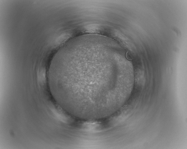 X0000115510213200911271438