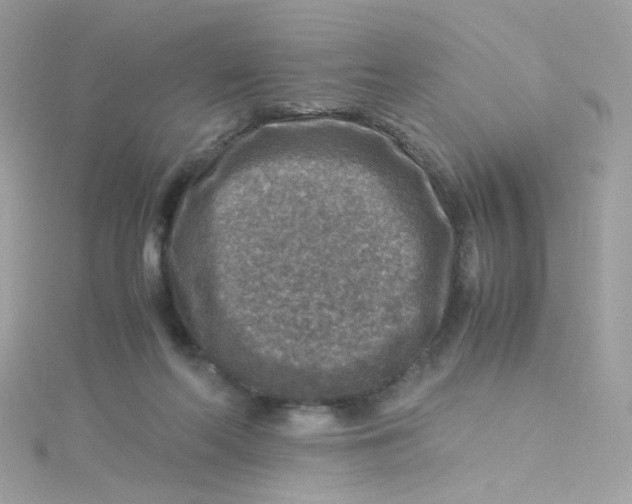 X0000115510214200911271438