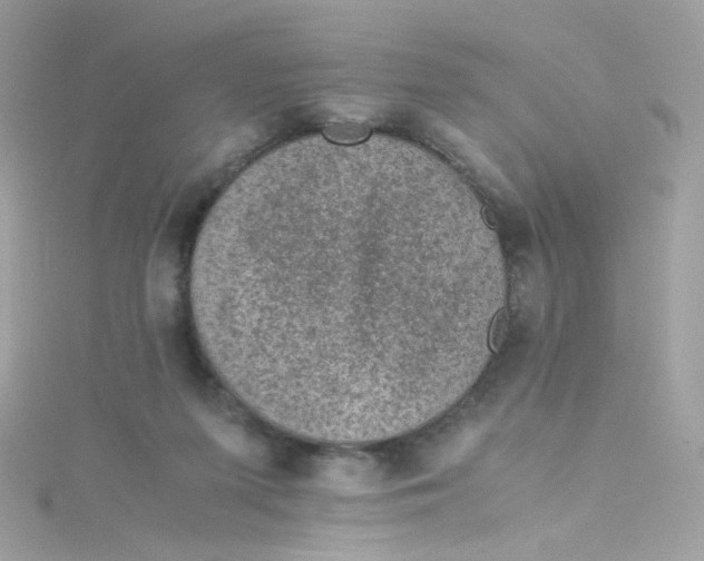 X0000115510215200911271437