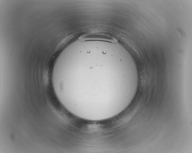 X0000115510216200911271437