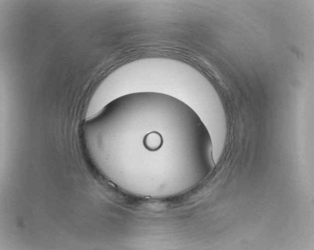 X0000115510217200911271437