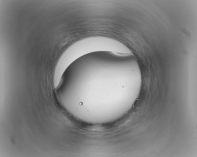 X0000115510219200911271437