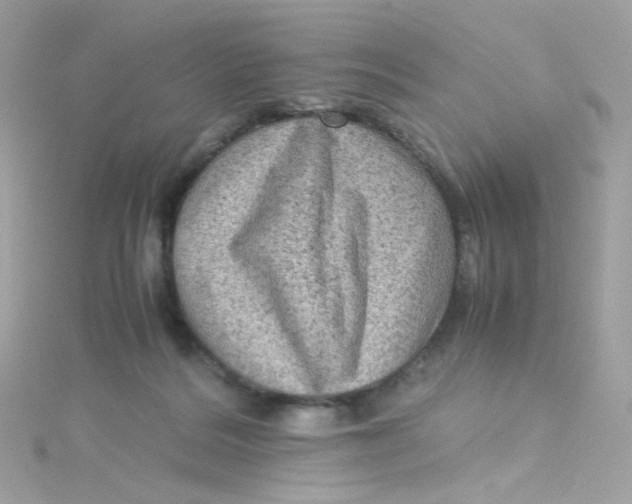 X0000115510220200911271437