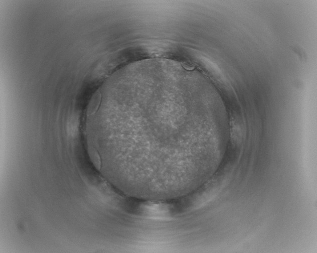 X0000115510221200911271437