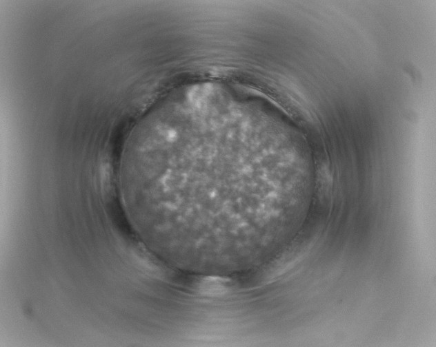 X0000115510222200911271437