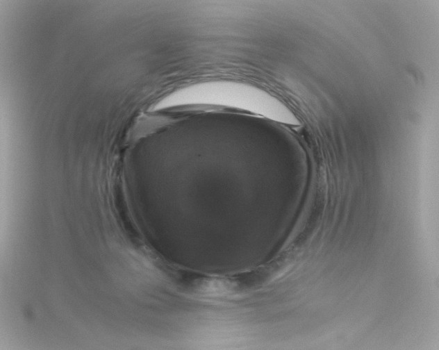 X0000115510223200911271437