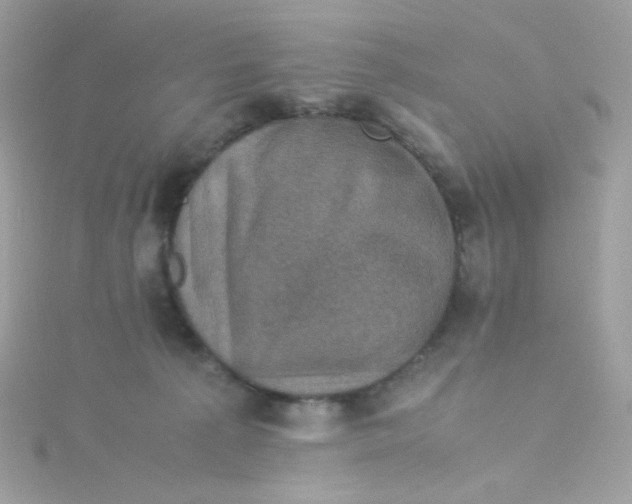 X0000115510225200911271437