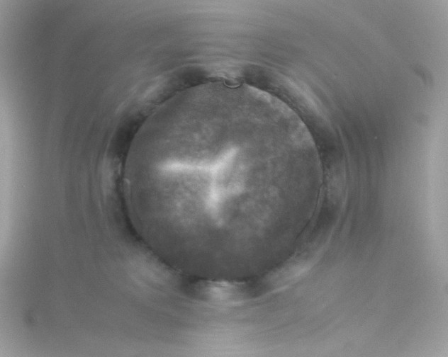 X0000115510229200911271437