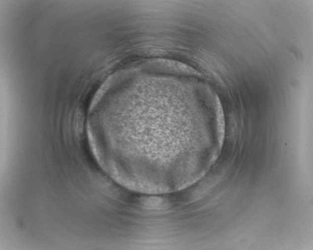 X0000115510230200911271437