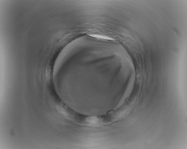 X0000115510231200911271437