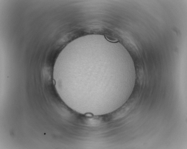 X0000115510232200911271437