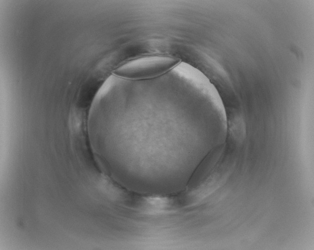 X0000115510233200911271437