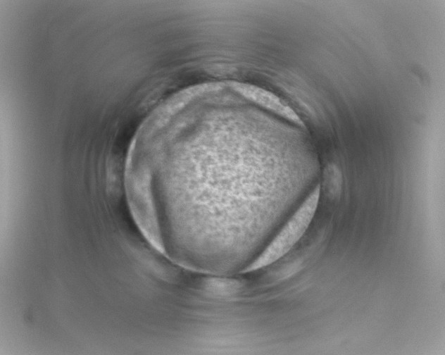 X0000115510234200911271437