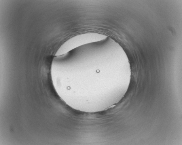 X0000115510235200911271437