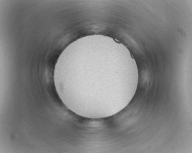 X0000115510236200911271437