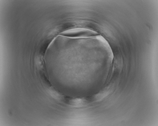 X0000115510237200911271437