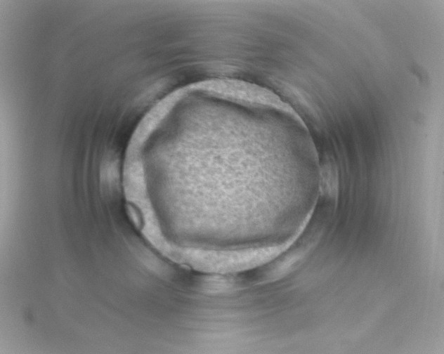 X0000115510238200911271437