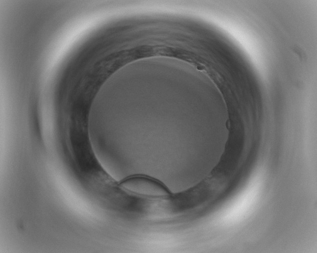 X0000115510239200911271437