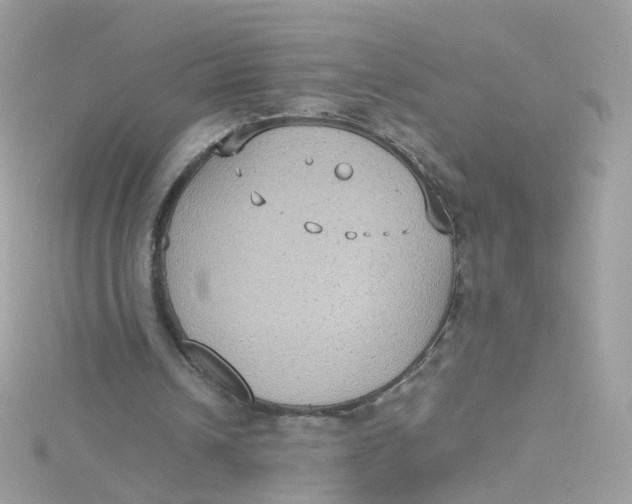 X0000115510242200911271437