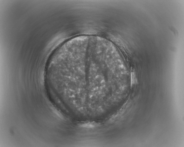 X0000115510243200911271437