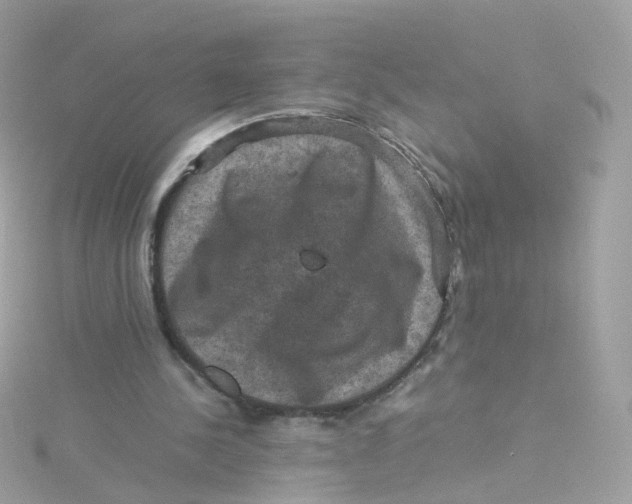 X0000115510244200911271437