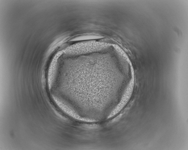 X0000115510245200911271437