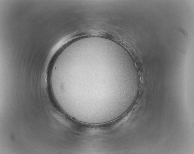 X0000115510246200911271437