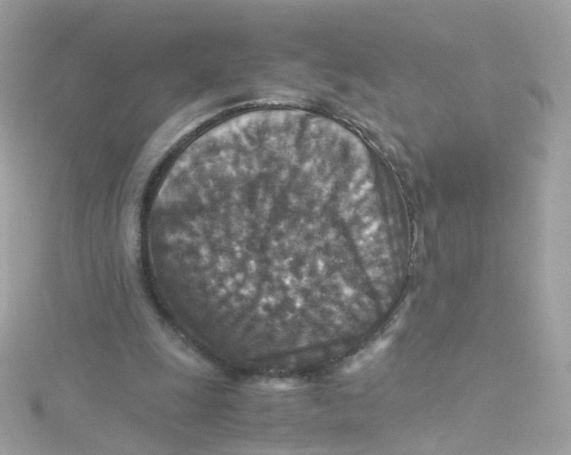 X0000115510247200911271437