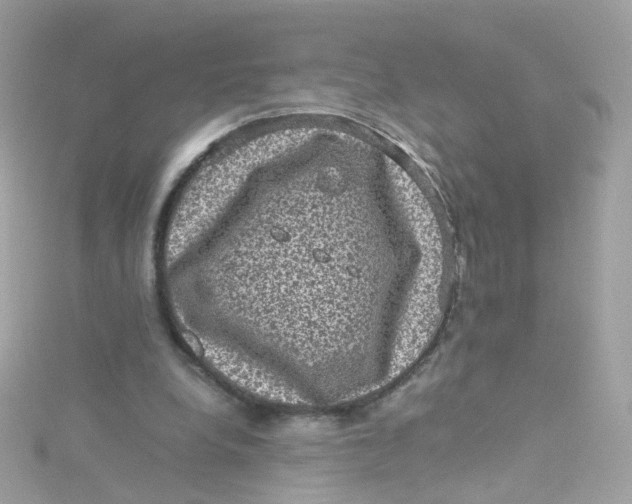 X0000115510248200911271437