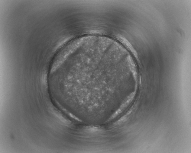 X0000115510249200911271437