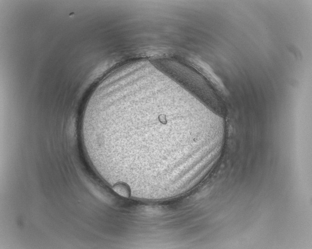 X0000115510250200911271437