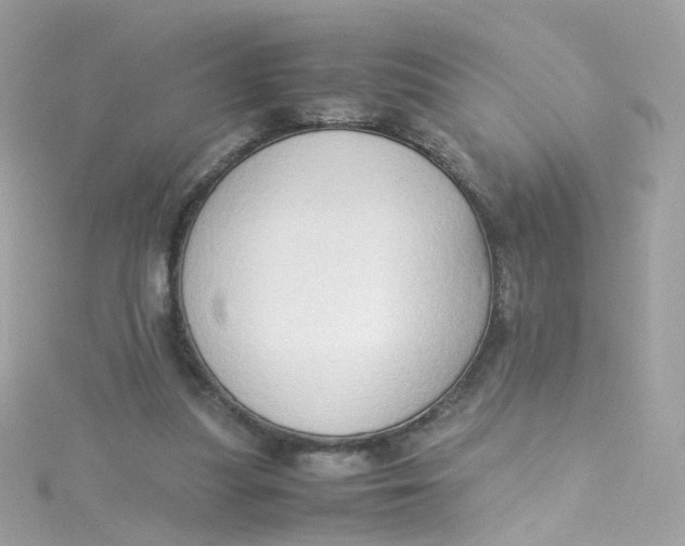 X0000115510251200911271437