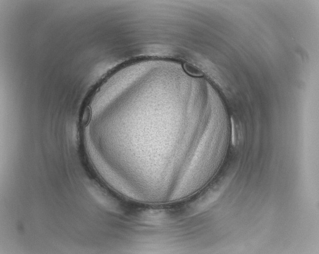 X0000115510252200911271437