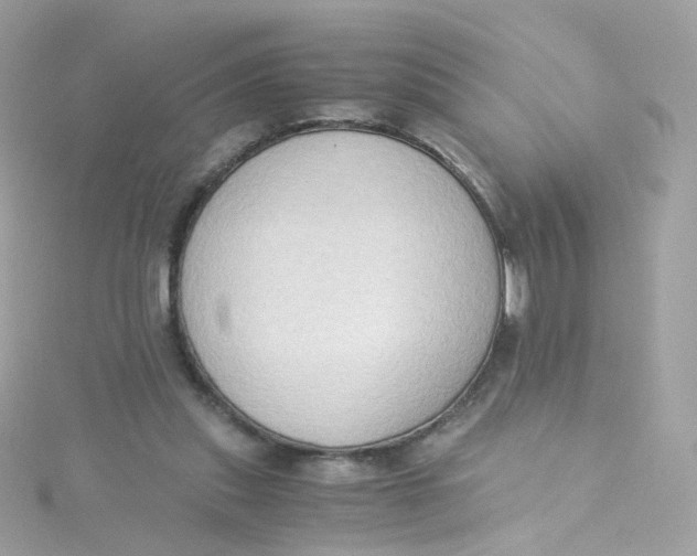 X0000115510253200911271437