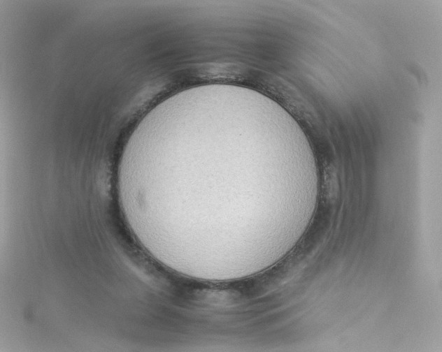 X0000115510255200911271437