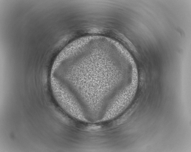 X0000115510257200911271437