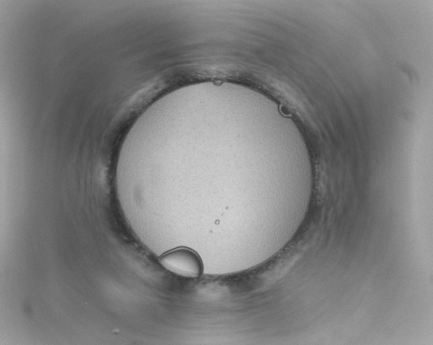 X0000115510258200911271437