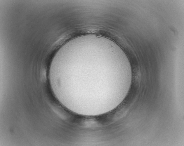 X0000115510262200911271437