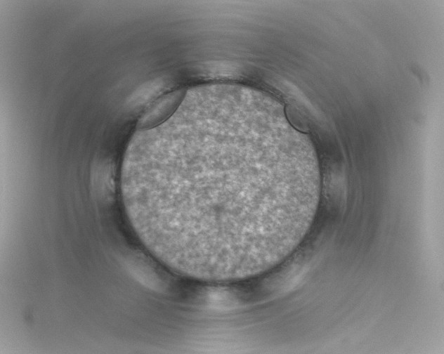 X0000115510264200911271437