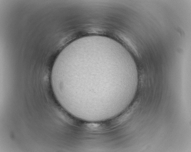 X0000115510265200911271437