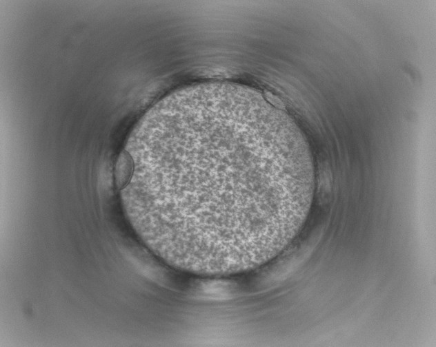 X0000115510268200911271437