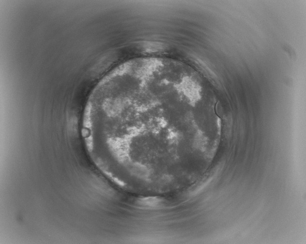 X0000115510269200911271437