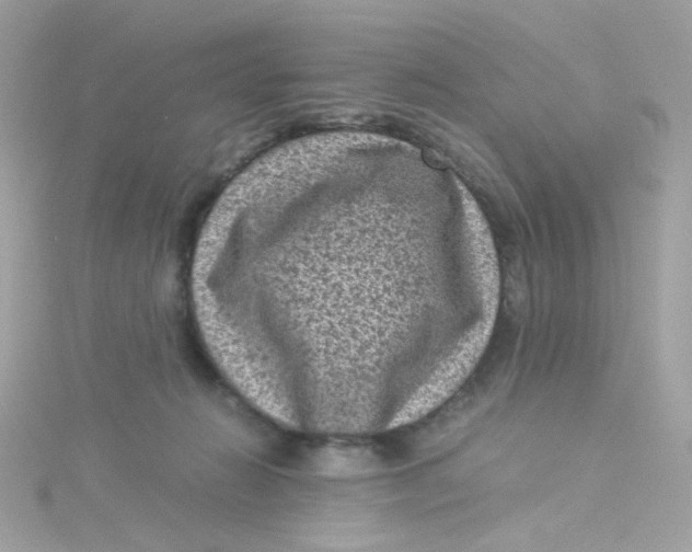 X0000115510270200911271437